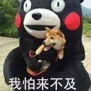 那些所谓的高傲和不朽