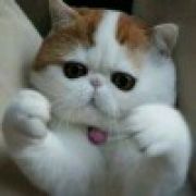 时间没变，你还在