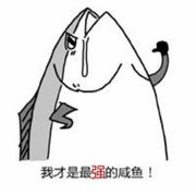 极为靠谱的白给咸鱼君