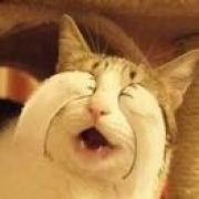 没有人能在我的BGM里打败我