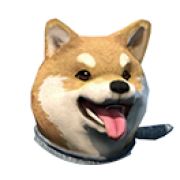 寻龙点脉驴蛋蛋