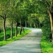 曾径喜欢过你的人