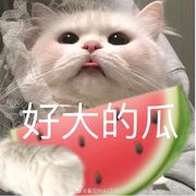 爱玩游戏的蕉麻