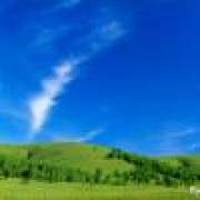 冬虫夏草