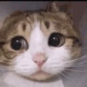 おやすみ