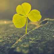 我的未来我做主