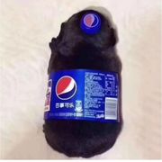 小张想要玩游戏