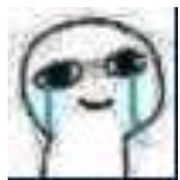 夜假说