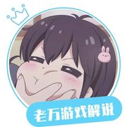 老万游戏解说