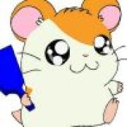 仓鼠大仙，法力无边