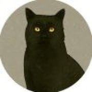 大亮亮是个小萌新