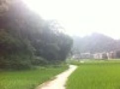 他出了个名刀司命