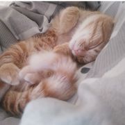 此地长眠者声名水上书