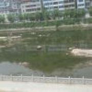 🐊🐉🐲🐕🐅🐎🦂🦀🐍