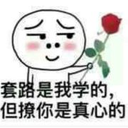 ꧁九命八尾一颗心꧂