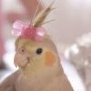 鱼鱼鱼鱼鱼鱼鱼鱼鱼哎