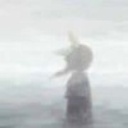 丼ちゅう孤 こげつ