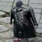 鸽子从不咕咕咕