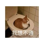 祝庭
