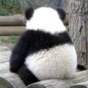 不多氪金别来我们影境