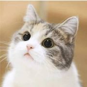 九尾是仙不是妖