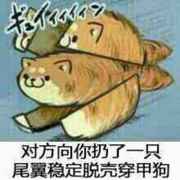 尾翼稳定脱壳穿甲poi