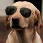 wild kid·妖『木偶』