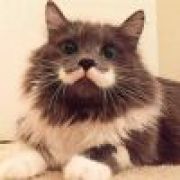 。。。   。。。