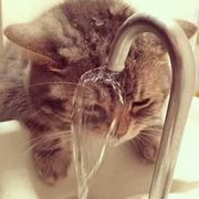 伐幺帮唔噜嗉…