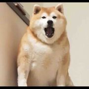 爱你，不是说说而已