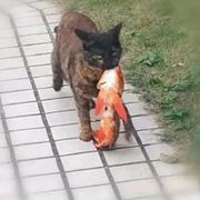 很