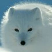 每天打卡五公里