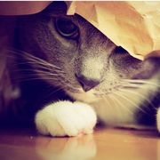 手机用户25175814