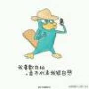 大程子Orange