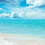 格拉摩底括弧笑