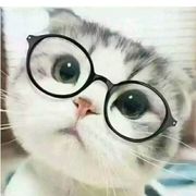 可达鸭教二当家