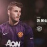 花开花落，我依然在此