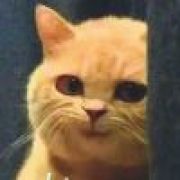 🎂 🍰 🍟 🍔 🍝 🍜 🍧