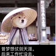 乖乖隆滴咚