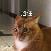 emmmm。。。。。