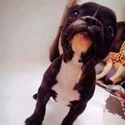 혼자 로맨틱 적이 있다