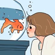 兢兢业业de运营妹