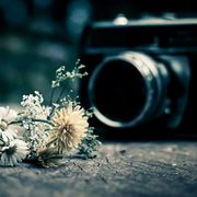 熊猫人永不为奴