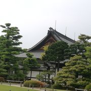 彦楽(･ิω･ิ)嵐しずり