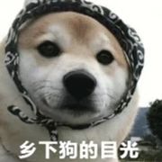 白菜菜菜菜菜子