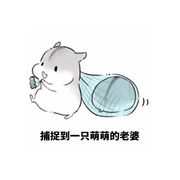 是仓鼠ar哒