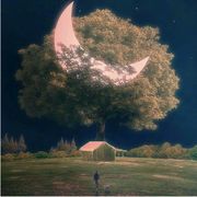 不是小说男主角