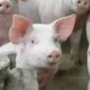 边哭边笑发神经