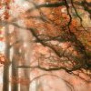 ，，，，，，，