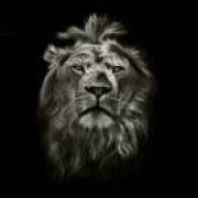 独爱指间的妖娆